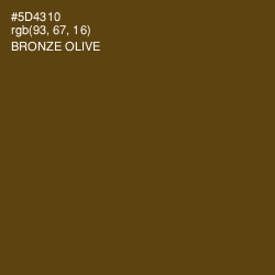 #5D4310 - Bronze Olive Color Image
